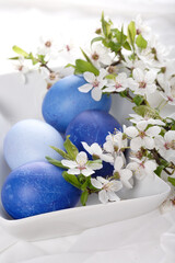 Studio shot of easter eggs