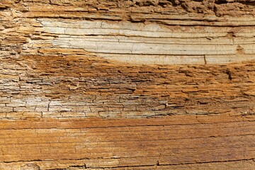The surface of thin bedded layers of Posidonia Shale from the Lower Jurassic