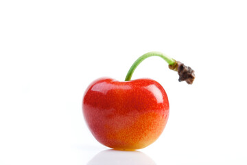 Studio shot of cherries on white background