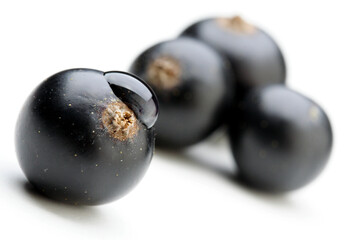 Close up of black currants