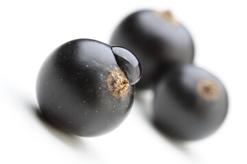 Black currants on white background