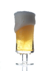 Glass of beer - studio shot