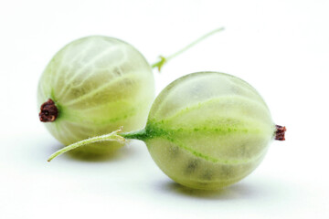 Close up of gooseberry on white bacground