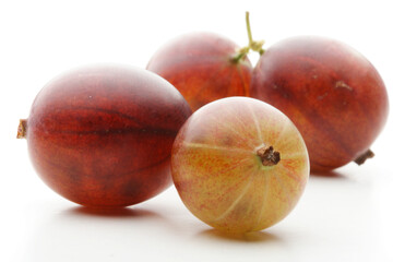 Studio shot of gooseberries at white background