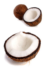 Coconut