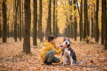 Naklejka na ściany i meble Handsome boy in a yellow raincoat with a husky dog in the forest