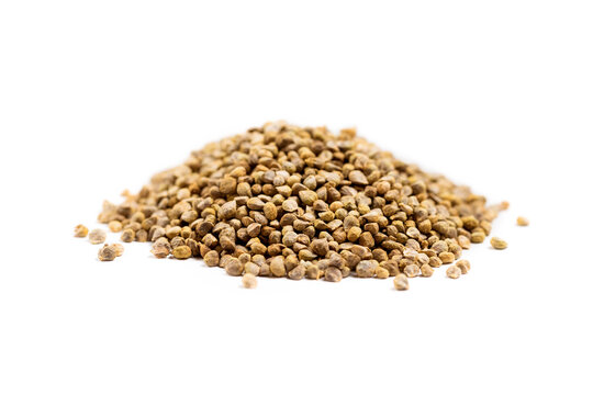 Spinach seeds heap for germination isolated on a white background