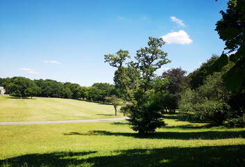 landscape with trees