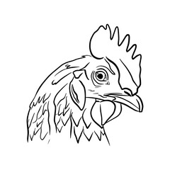 Outline sketch of isolated rooster head in profile with eye and cock comb. Vector illustration