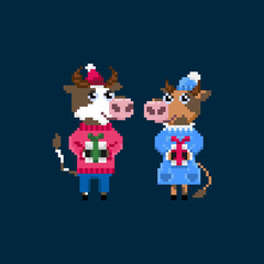 Cow pixel art on white background. Pixel cows in cute suits. Symbol of 2021.