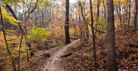 Winding Hiking Trail Through Fall Foliage
