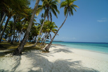 san blas, island, pelicano island, palms, caraibbean, sky, clouds, tropical, sea, trees, pearl, sand, magnific place