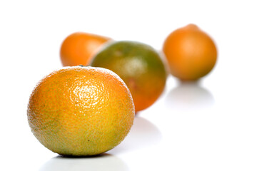 Close-up of mandarin on white background
