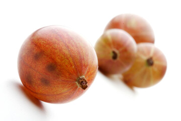 Studio shot of gooseberry on white background