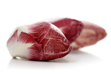 Studio shot of chicory on white background