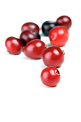 Cranberries