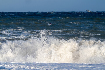 Fototapeta premium 荒れた海