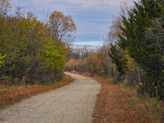 Country road in autumn: Road in late autumn with a mix of fall colored trees and some bare branches and leaves on the ground with a blue sky with a few clouds