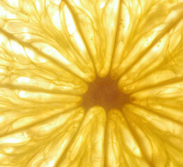 Lime slices on white background