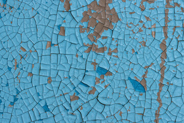Fototapeta na wymiar Blue peeling paint on the wall. Old concrete wall with cracked flaking paint. Weathered rough painted surface with patterns of cracks and peeling. High resolution texture for background and design.