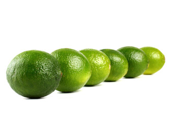 Limes on white background - studio shot