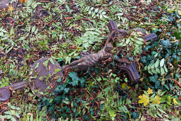 Historic Statue on the autumn mystery old Prague Cemetery, Czech Republic