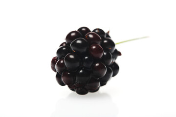 Blackberries on white background - studio shot
