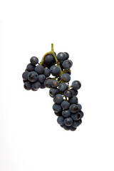 Grapes on white background - close-up