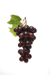 Grapes on white background - close-up