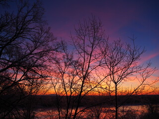 Fototapeta premium Winter dawn on the river Bank. The forest on the background of the dawn.