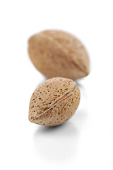 Almond in shell on white background