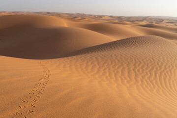 Fototapeta na wymiar Patterns in the desert
