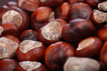 Chestnut on wooden background - studio shot