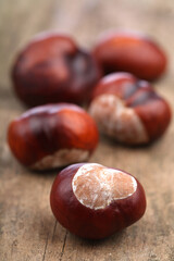 Chestnut on wooden background - studio shot