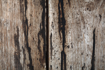 Wooden texture background