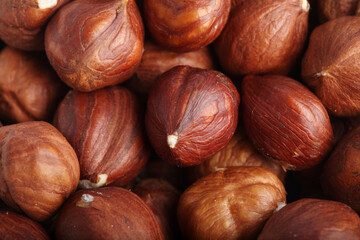 Huzelnits on white background - close-up
