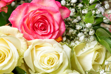 beautiful bouquet of pink and white roses