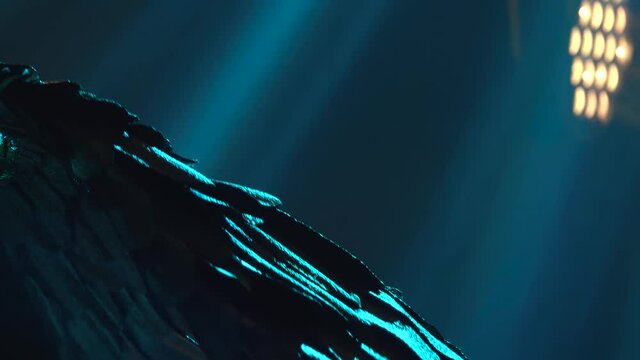 A theatrical performance featuring the Greek goddess Artemis. Silhouette of a dancing woman on a smoky blue background. Close up.