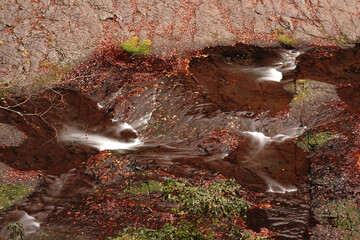 紅葉と落ち葉が積もった菊池渓谷の秋の風景