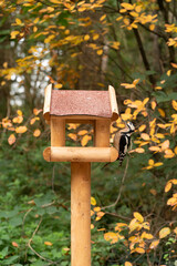 wooden bird house