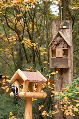 wooden bird house
