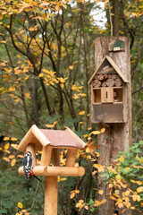 wooden bird house