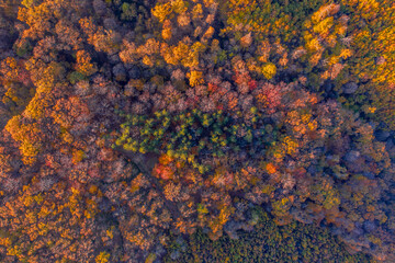 Hungary - autumn colours in Mecsek hills from drone view