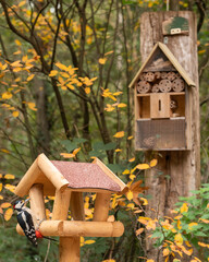 wooden bird house