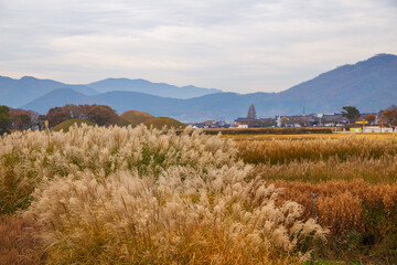 Fototapeta premium Inwang-dong ancient tomb complex and old village at autumn in Gyeongju, Korea