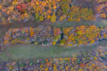 Hungary - autumn colours in Mecsek hills from drone view