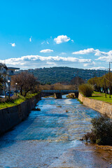 bridge on river and trees