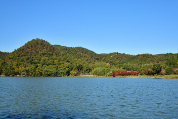 京都嵯峨野の広沢池の紅葉