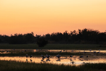 A lagoon at dawn.