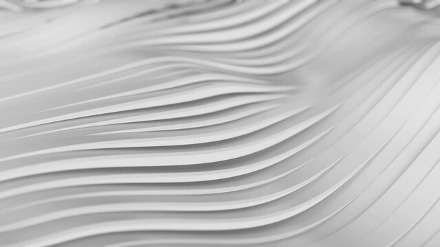3D animation of White, gray, black wavy stripes background waving and swaying. Future geometric patterns motion background. Rendering in 4K. Room for text.

